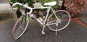 日本盧德摩托車代購(gòu)與二手市場(chǎng)指南 價(jià)格、渠道與購(gòu)買注意事項(xiàng)